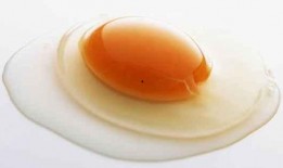 岑先生abcd吃瓜,岑先生与abcd的奇妙吃瓜之旅