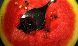 奇葩昆虫带你吃瓜,跟随奇葩昆虫探索神秘食瓜之旅