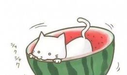 molly头像吃瓜,揭秘娱乐圈最新热点事件