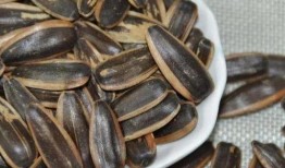 外国吃瓜嗑瓜子,嗑瓜子的跨国魅力