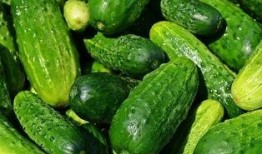 吃瓜幸运名字大全,趣味盎然的人名宝库