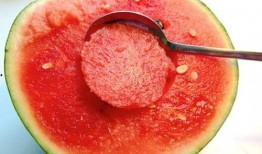 玲珑瓜不能与什么一起吃,揭秘不能与哪些食物同食的真相