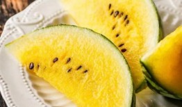 宇将军吃瓜链接