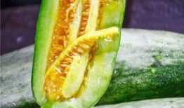 吃瓜在线网红,揭秘吃瓜在线网红的爆红之路