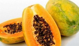 宝宝梦里吃瓜,瓜果飘香，甜蜜梦境揭秘