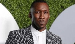 吃瓜黑衣哥,网络红人的崛起与影响力