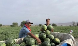 荥阳三中吃瓜,揭秘校园里的青春热议