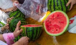 专业团队吃瓜视频,揭秘专业团队吃瓜背后的精彩瞬间