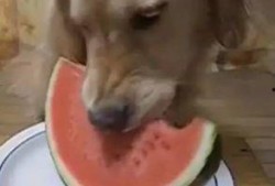 小小婷吃瓜,揭秘娱乐圈那些不为人知的幕后故事