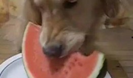 小小婷吃瓜,揭秘娱乐圈那些不为人知的幕后故事