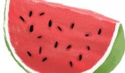 吃瓜群众吃西瓜视频,夏日清凉一夏