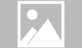 海滩吃瓜群众图片