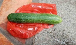 可以直接吃生瓜,生瓜直接食用体验之旅