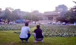 东湖学院吃瓜事件