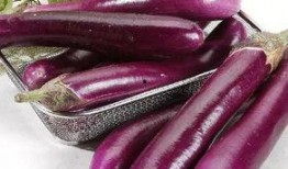 吃茄瓜口水会是红色吗吗,揭秘吃茄瓜口水变红之谜