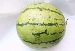 河北不该吃的瓜,河北人不宜食用的“禁忌瓜果”