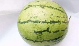 河北不该吃的瓜,河北人不宜食用的“禁忌瓜果”