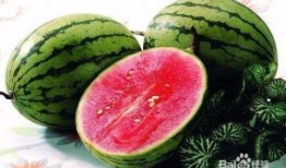 夏日吃瓜减肥,轻松享瘦一夏