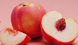 星沐吃瓜,揭秘娱乐圈幕后故事