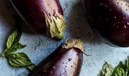 吃茄瓜口水会是红色吗吗,揭秘吃茄瓜口水变红之谜