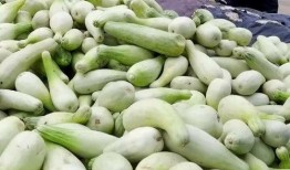 老板瓜可以怎么吃