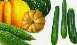 吃瓜的阿甘,揭秘娱乐圈背后的真实故事