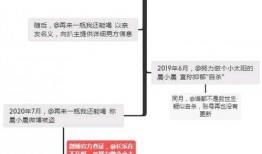 818吃瓜网西瓜视频,揭秘娱乐圈幕后故事