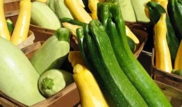 培正吃瓜,揭秘校园热点背后的故事