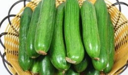 熬夜瓜可以吃吗,揭秘熬夜时可以食用的健康选择