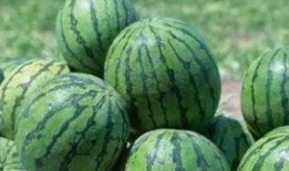 宫圈吃瓜避雷,避开雷区，轻松享受宫廷八卦盛宴