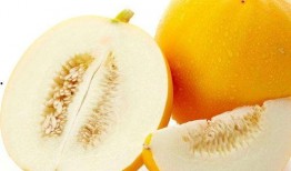 夏日吃瓜白兰瓜