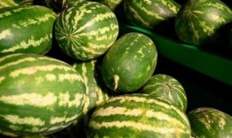 汾阳吃瓜事件主人,一场网络狂欢背后的真相与反思