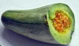 麦地里吃瓜,夏日田园的甜蜜记忆