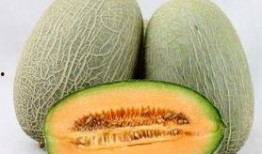 吃哈密瓜过敏的人,哈密瓜过敏者的饮食挑战与生活智慧