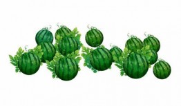 阿边吃瓜,揭秘娱乐圈幕后故事