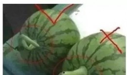 为啥吃瓜就会恶心,为何吃瓜也能引发恶心反应