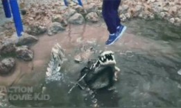 张掖吃瓜事件视频,一场引发热议的网络奇观