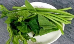 桂林吃瓜,一场别开生面的“吃瓜”盛宴