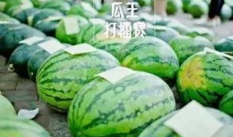 永乐时代吃瓜事件,揭秘吃瓜事件的宫廷风波