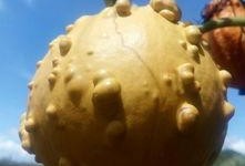 吃瓜炸裂现场,揭秘娱乐圈惊天大瓜！