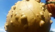 吃瓜炸裂现场,揭秘娱乐圈惊天大瓜！