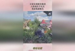 云南缅甸吃瓜大妈,吃瓜大妈的悠闲生活剪影