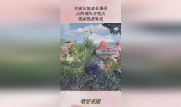 云南缅甸吃瓜大妈,吃瓜大妈的悠闲生活剪影