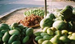 全单位吃瓜,欢乐时光尽在此刻