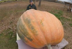 吃瓜吐烟,揭秘娱乐圈的幕后故事