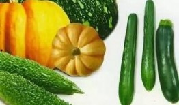 网播吃瓜,揭秘娱乐圈幕后故事