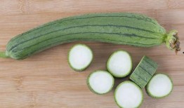 吃瓜丝瓜网,带你走进网络娱乐的奇幻世界