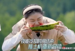 吃瓜背后音乐,探寻“吃瓜背后”的音乐魅力