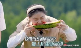 吃瓜背后音乐,探寻“吃瓜背后”的音乐魅力