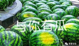 吃瓜大学城,揭秘校园里的热点事件与趣味生活